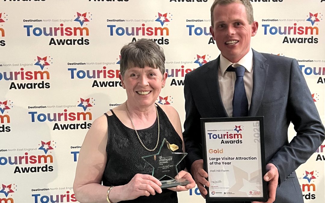 Two top awards in two months for Hall Hill Farm