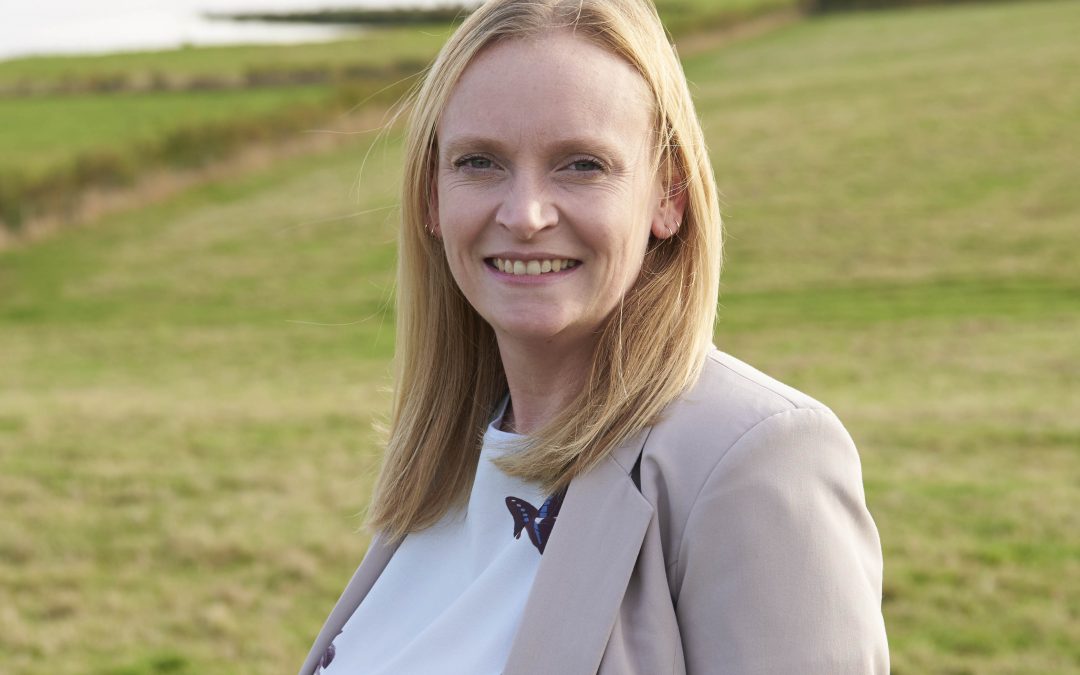 Director of environmental consultancy awarded badger licence