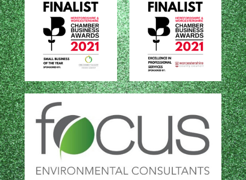 Environmental consultancy shortlisted for two business awards
