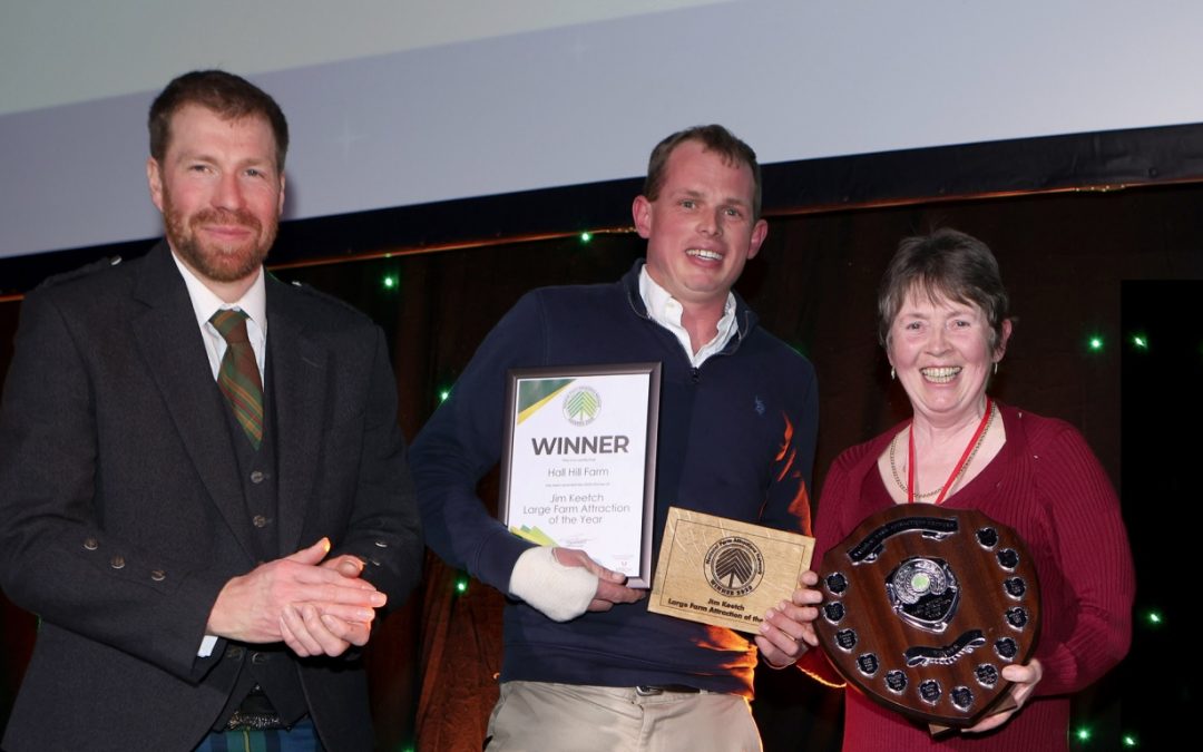 Hall Hill Farm in County Durham crowned UK’s best large farm attraction