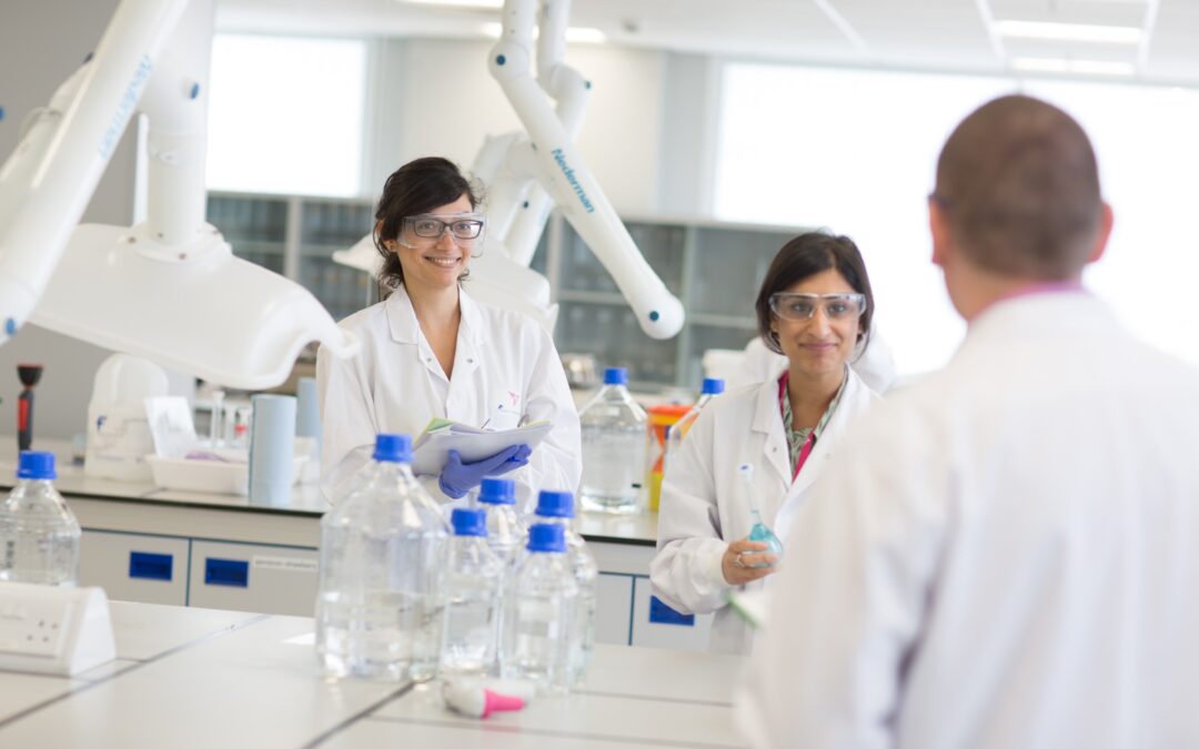 Finance and IT companies join global healthcare giant in setting the standard for People in Business Awards