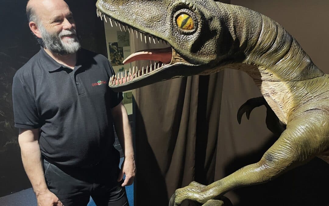 City centre museum to join in the fun as dinosaurs take to the streets of Hull