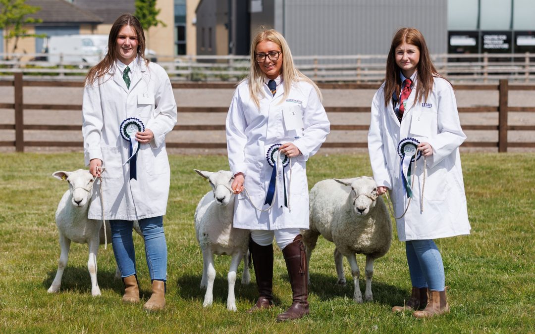 Bishop Burton College marks 70 years of agricultural and equine excellence with Stock Skills showcase