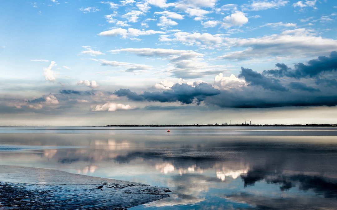 The Waterline Summit to return bigger than ever with ‘eyes of the world on the Humber’