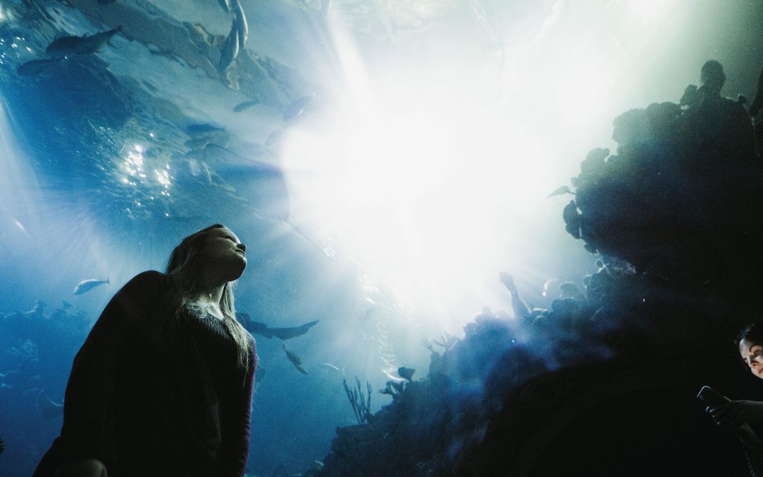 University of Hull’s water expertise boosted by £720,000 NERC funding