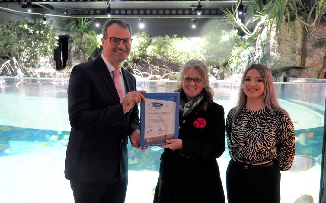 Hull businesses secure ‘star’ status by supporting staff to choose sustainable travel options