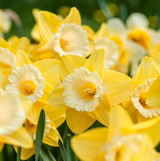 Spring is freeing up the best-kept secrets